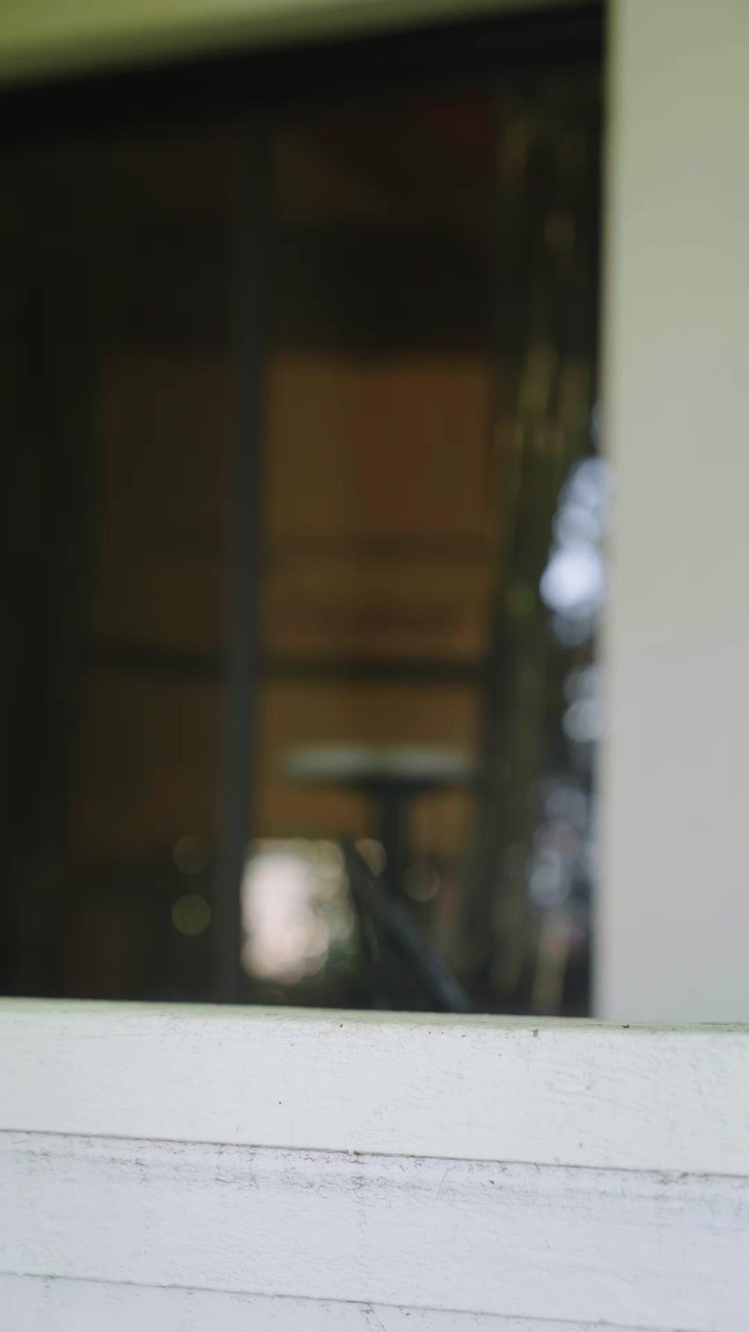 Chefe da Máfia Virou Meu Pet