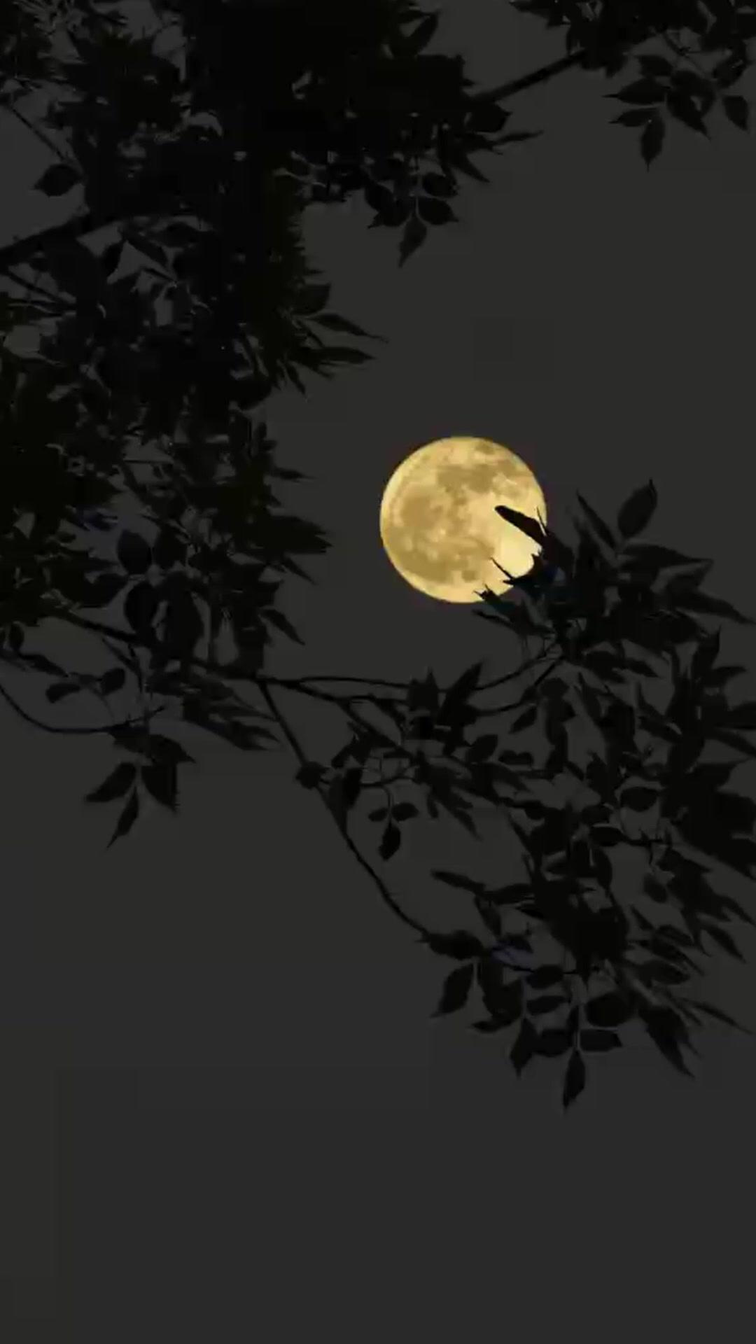 Sang Peramal di Tengah Kelaparan