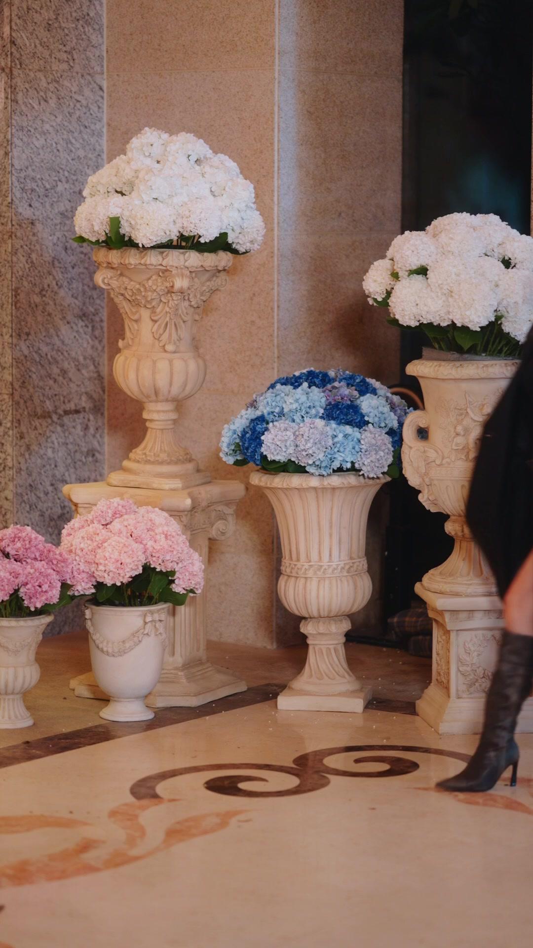  Ratu Perang Terlahir Kembali