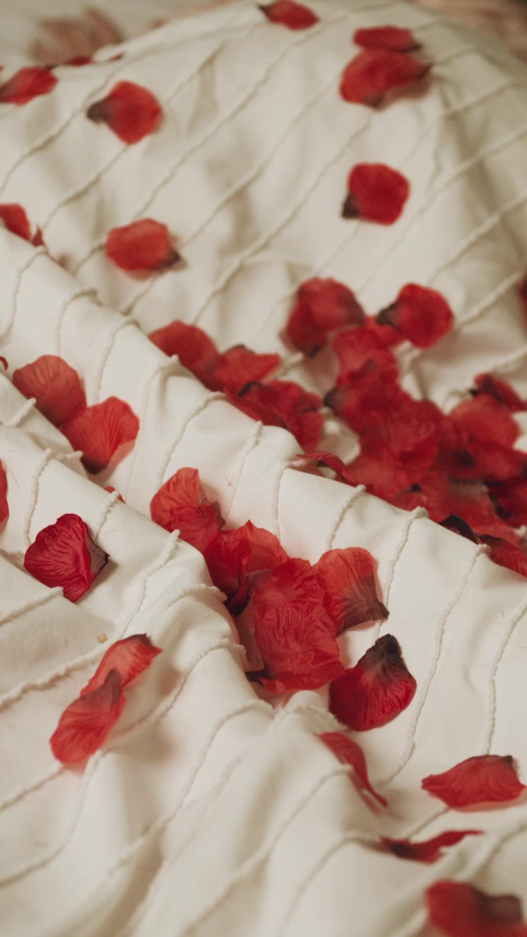 MON MARI, MILLIARDAIRE EN FUITE