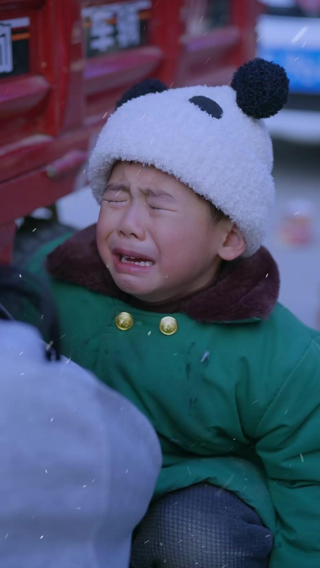 A Snowbound Journey Home