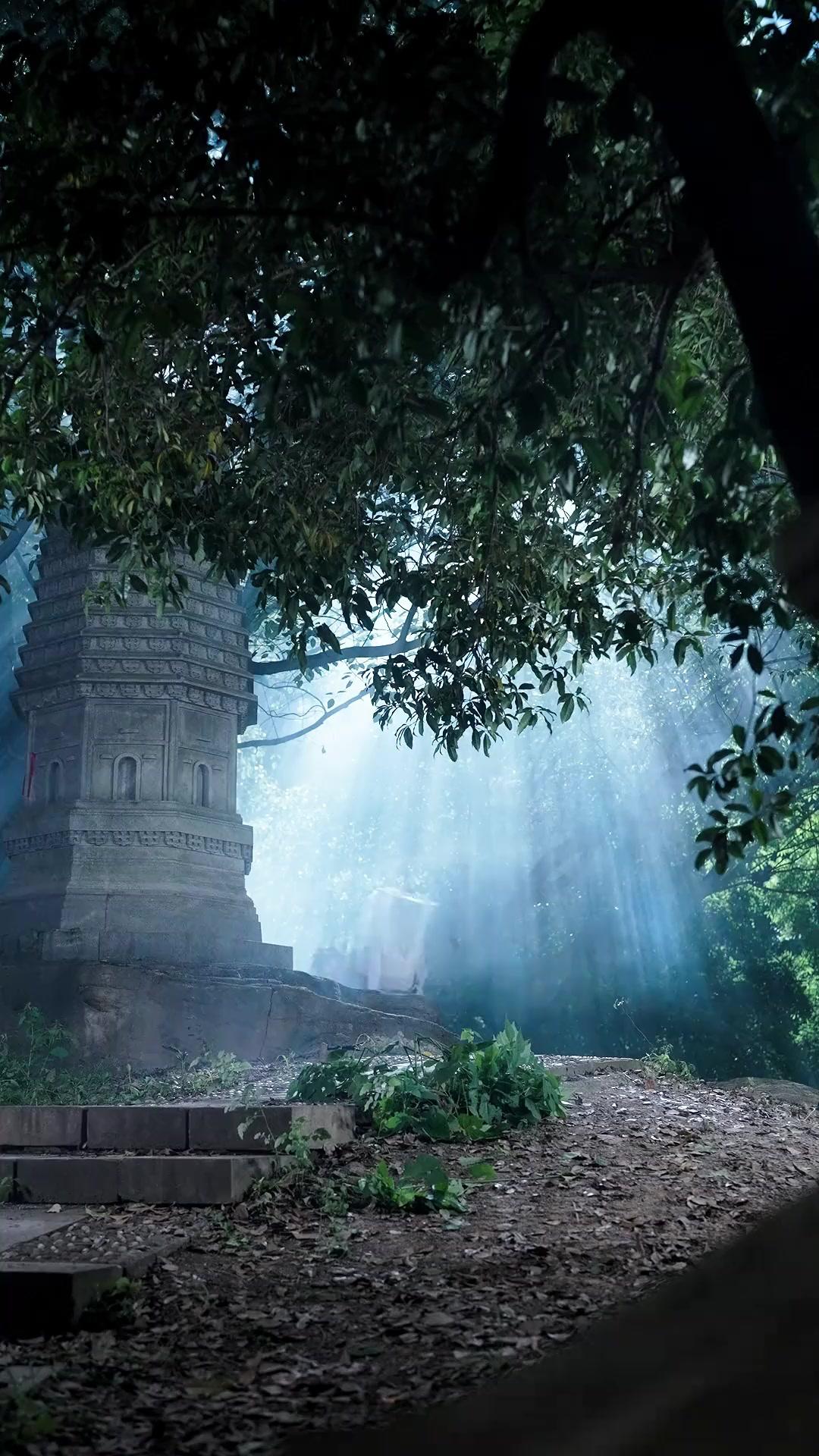 狂った縁～乞食に化けた龍顔～