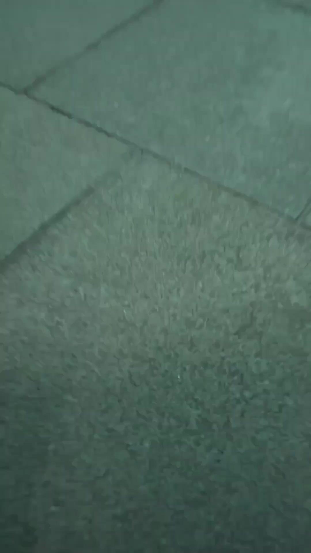 (พากย์เสียง) สายใยรักบอดี้การ์ด