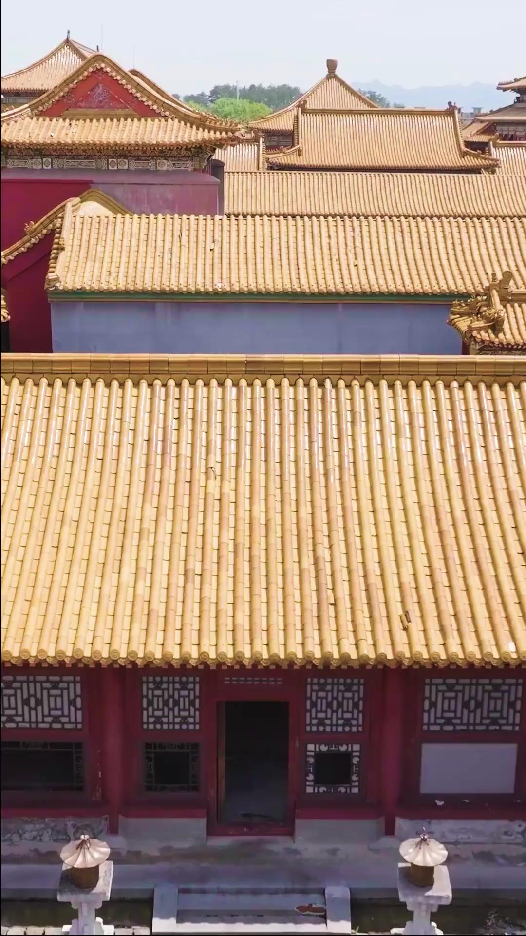 황궁의 불륜, 첩의 반란