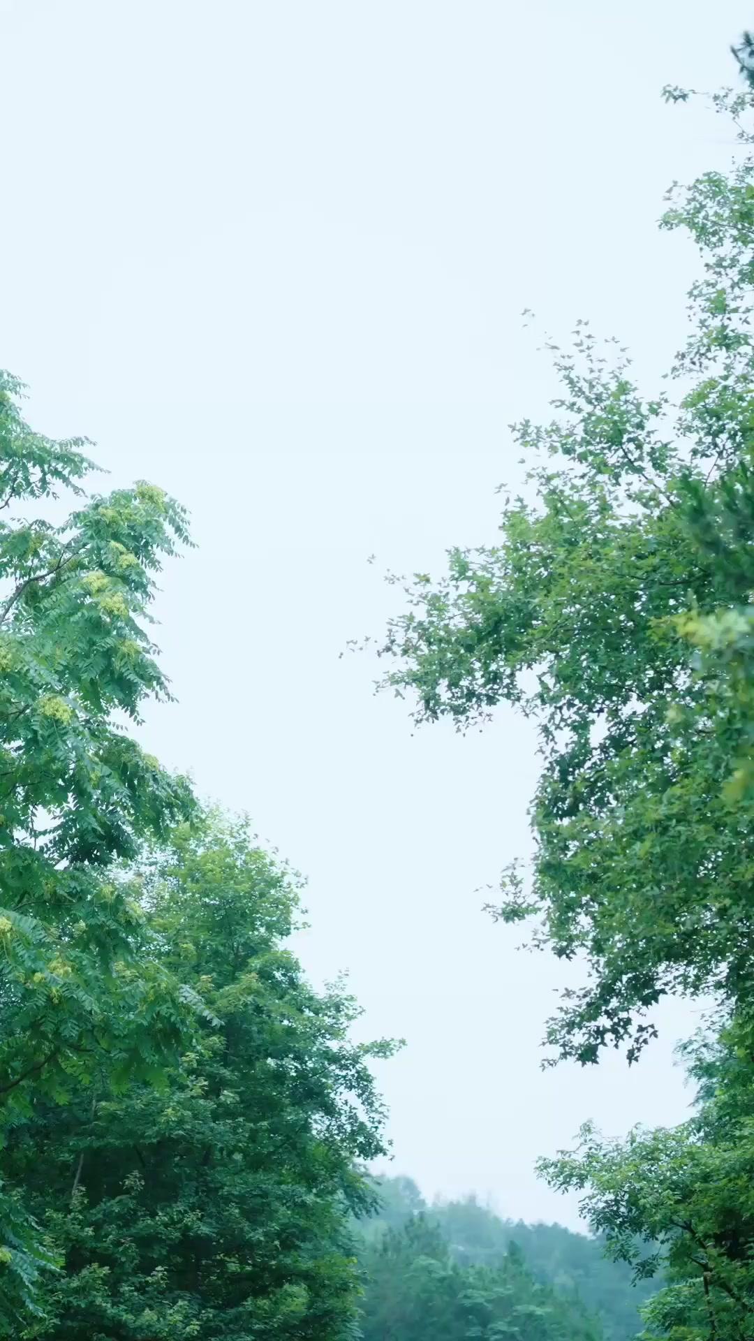 (مدبلج) ليلى عرافة القصر