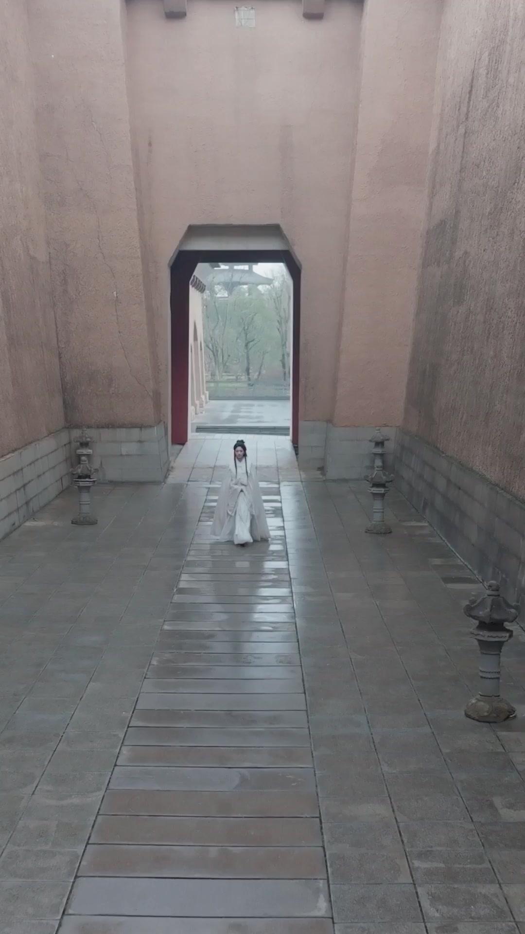 Renascimento em Chamas