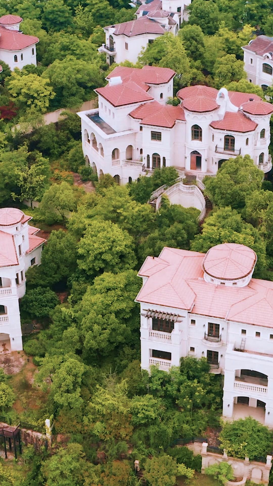 Takdir Dewa Lindungi