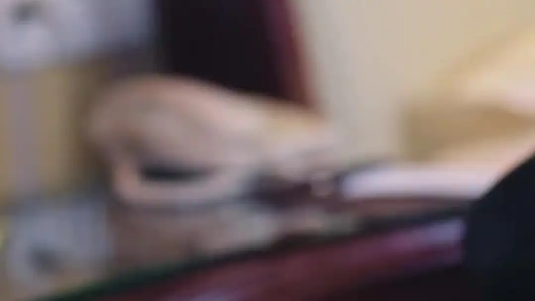 The Little Master Chef: A Taste of Destiny — The Unspoken Menu of Power and Panic