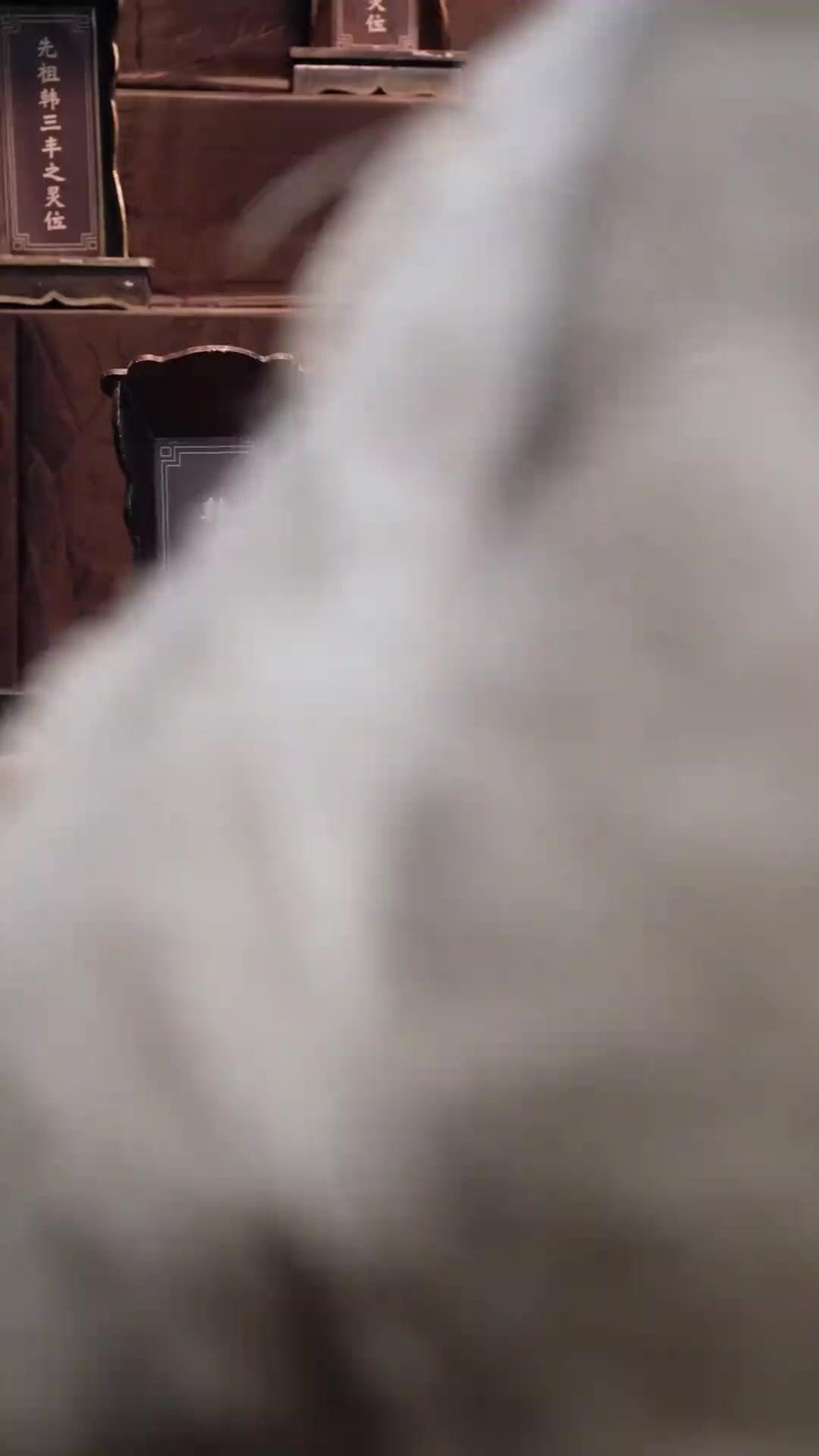 LE RETOUR DE L'AIGLE