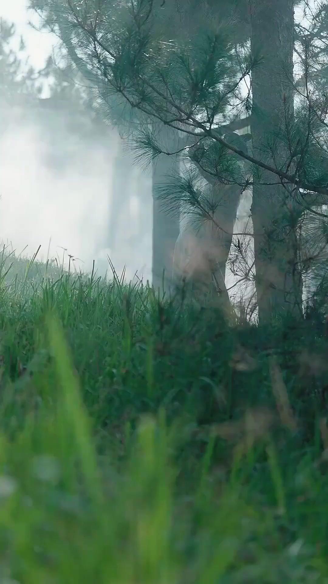 （พากย์เสียง）ข้ามภพพลิกรักหักอกฮ่องเต้