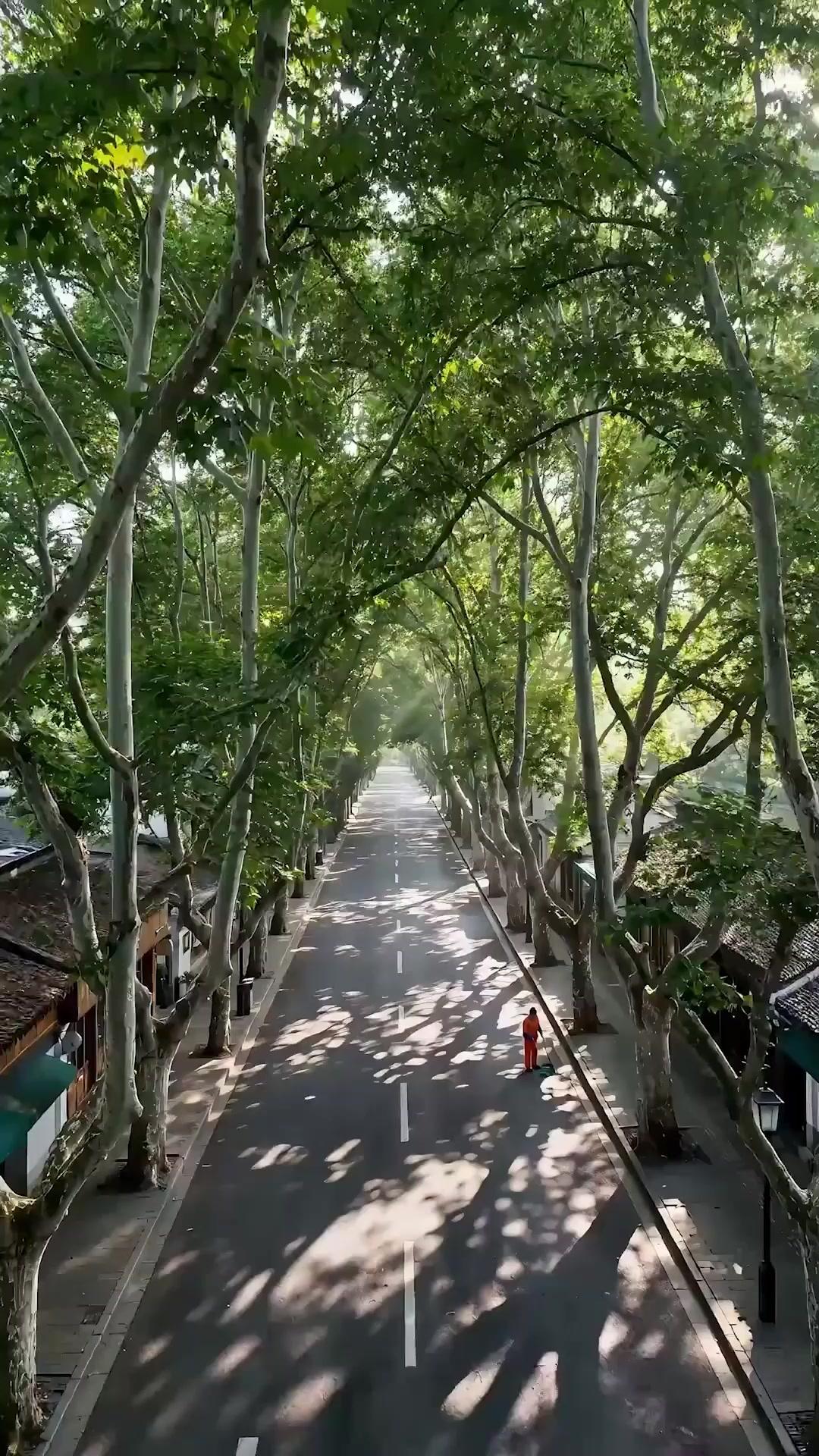 복권 한 장의 인생역전