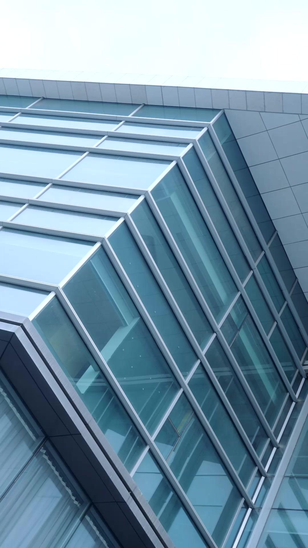 La talentosa despreciada