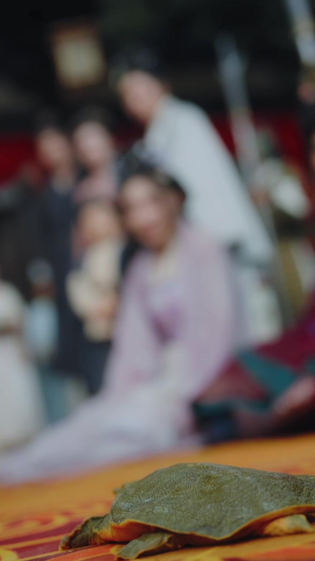 Tiada yang Tahu Identitasku