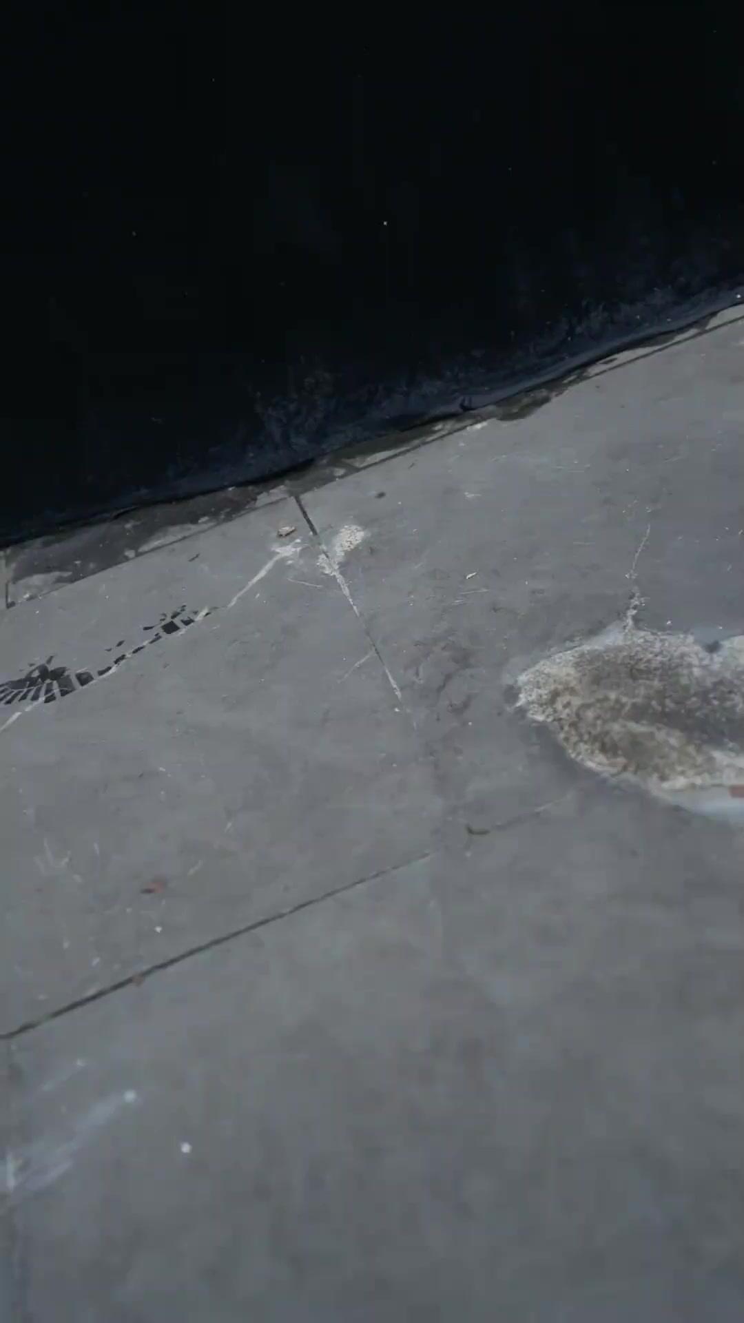 Jangan Pandang Rendah Ayahku!