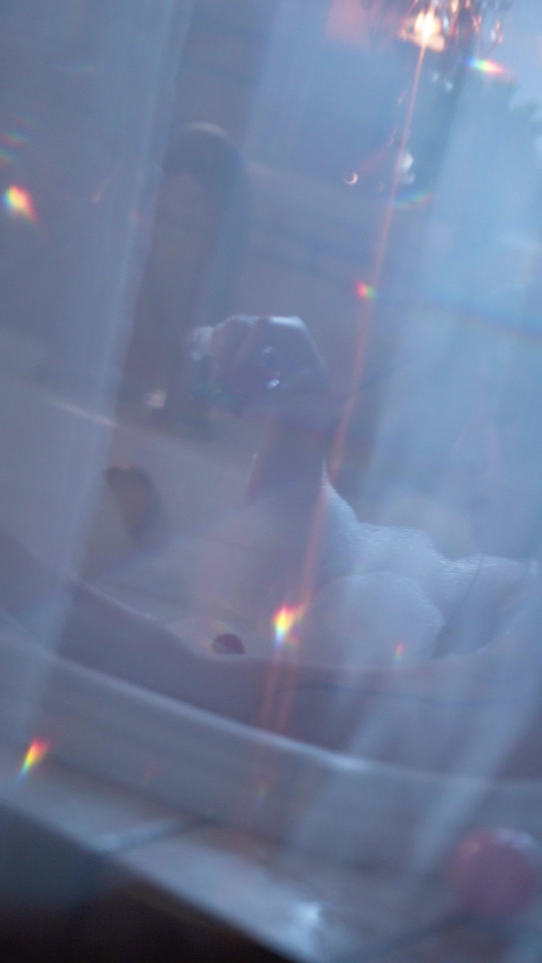 I’m a Son-in-Law, But I Rule