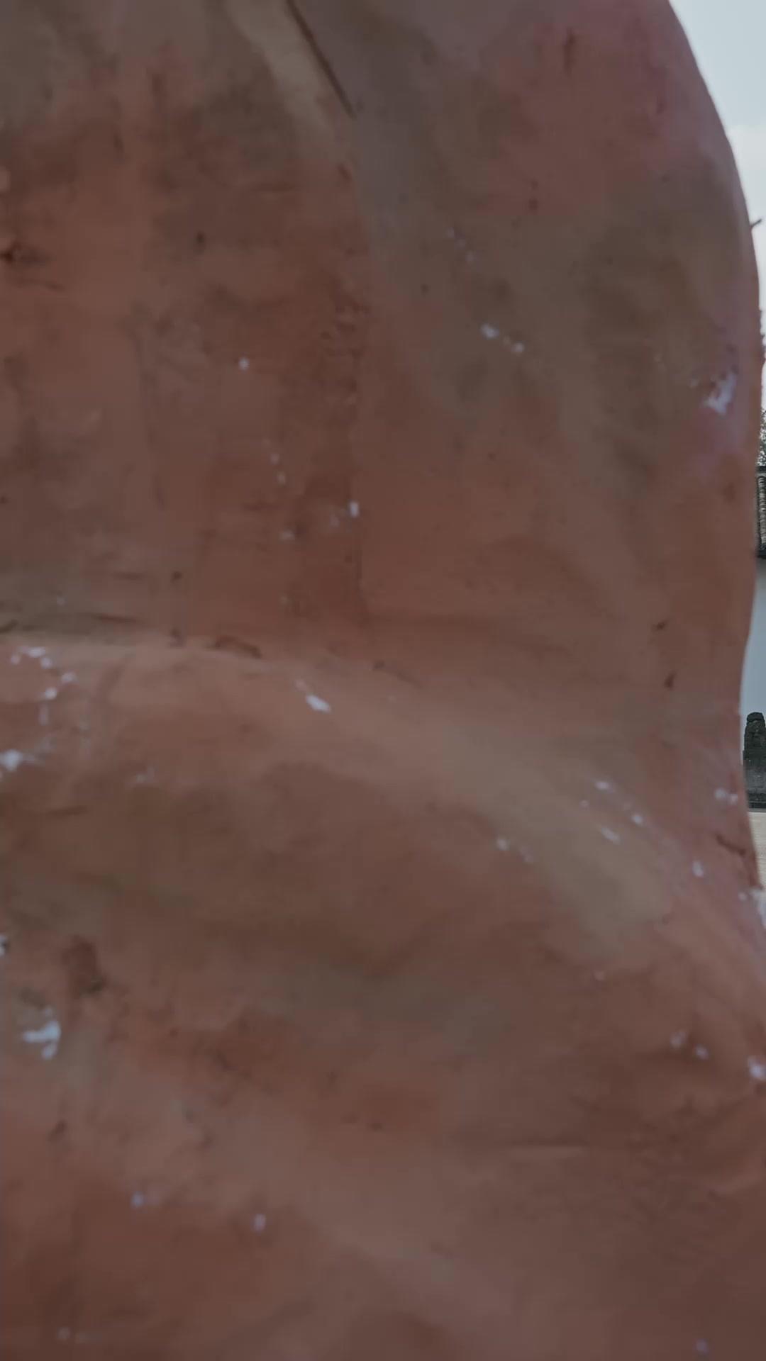 Loser? Martial World Knelt!