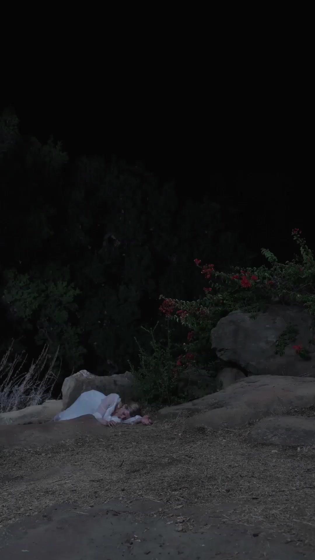 (Doublage) PHÉNIX EMPRISONNÉ