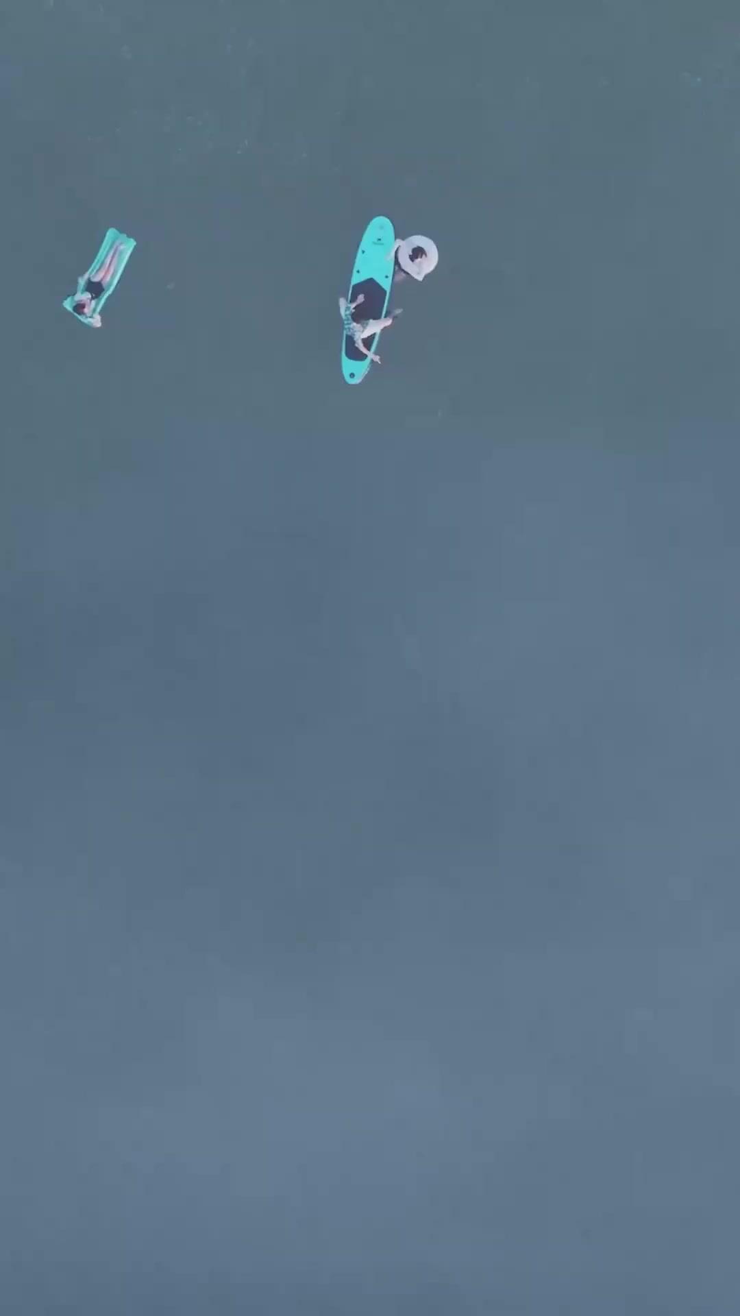 (吹き替え) 地獄のバカンス～サメに食われてタイムスリップ～