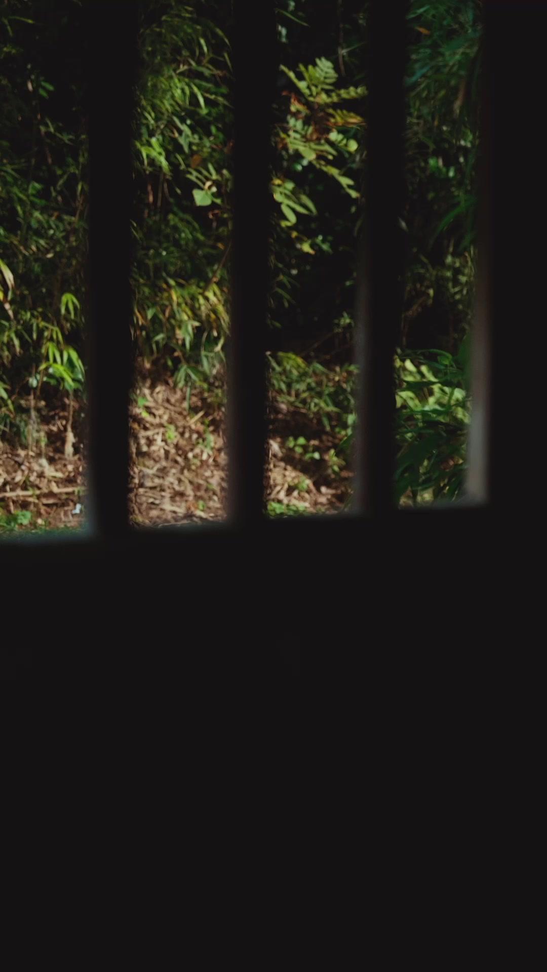 Yanan Bahçede Bulunan Kader