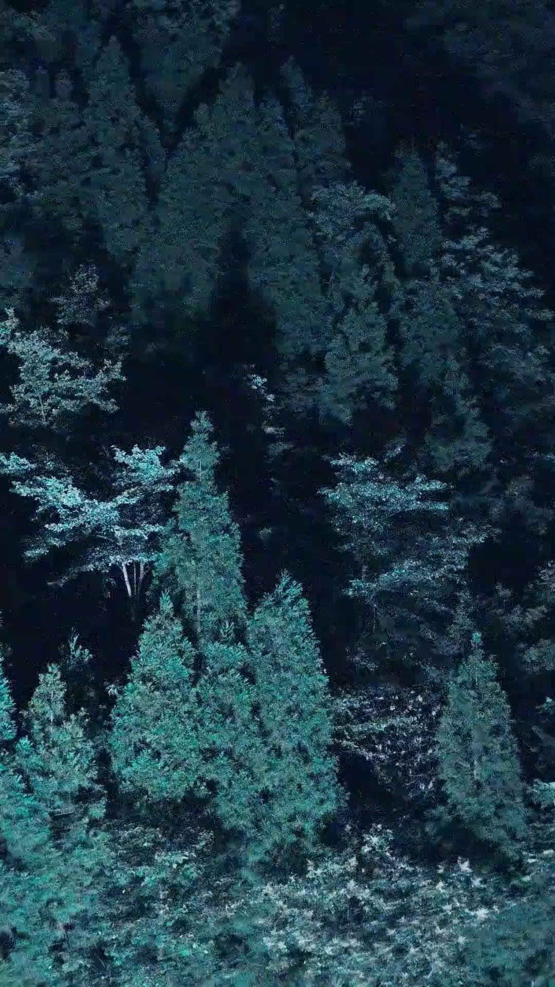 (吹き替え) ダンディライオン・ドリフト2