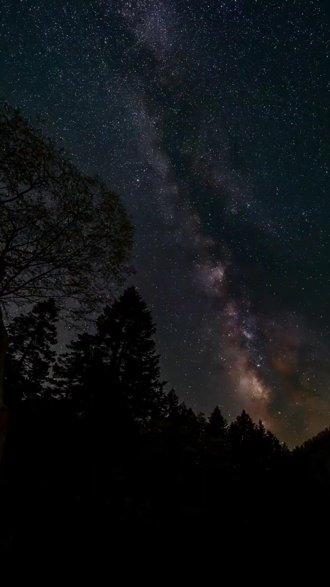 أختي الغامضة