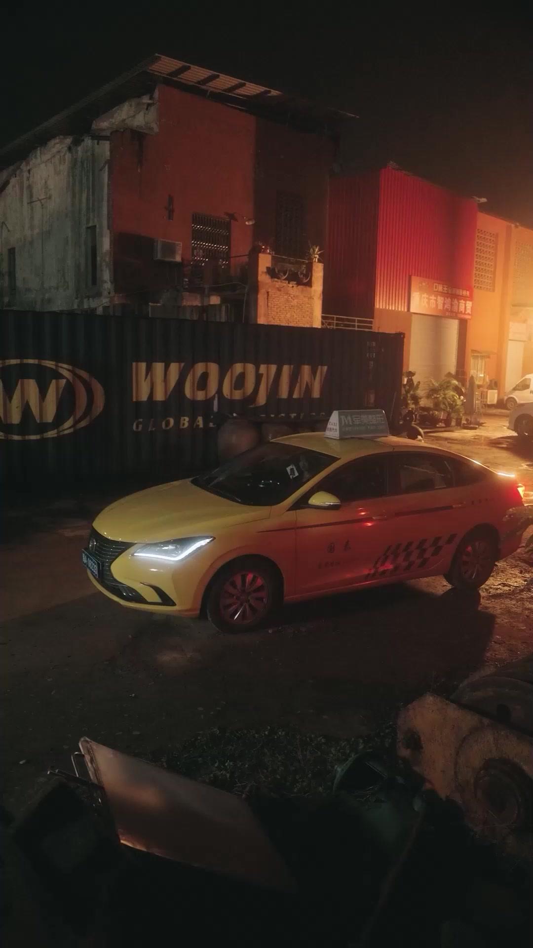 Der verborgene Wolf – Die Rückkehr des alten Kämpfers