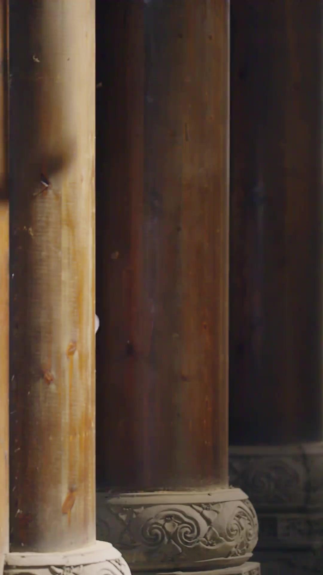 Die Prinzessin und ihr Doppelspiel