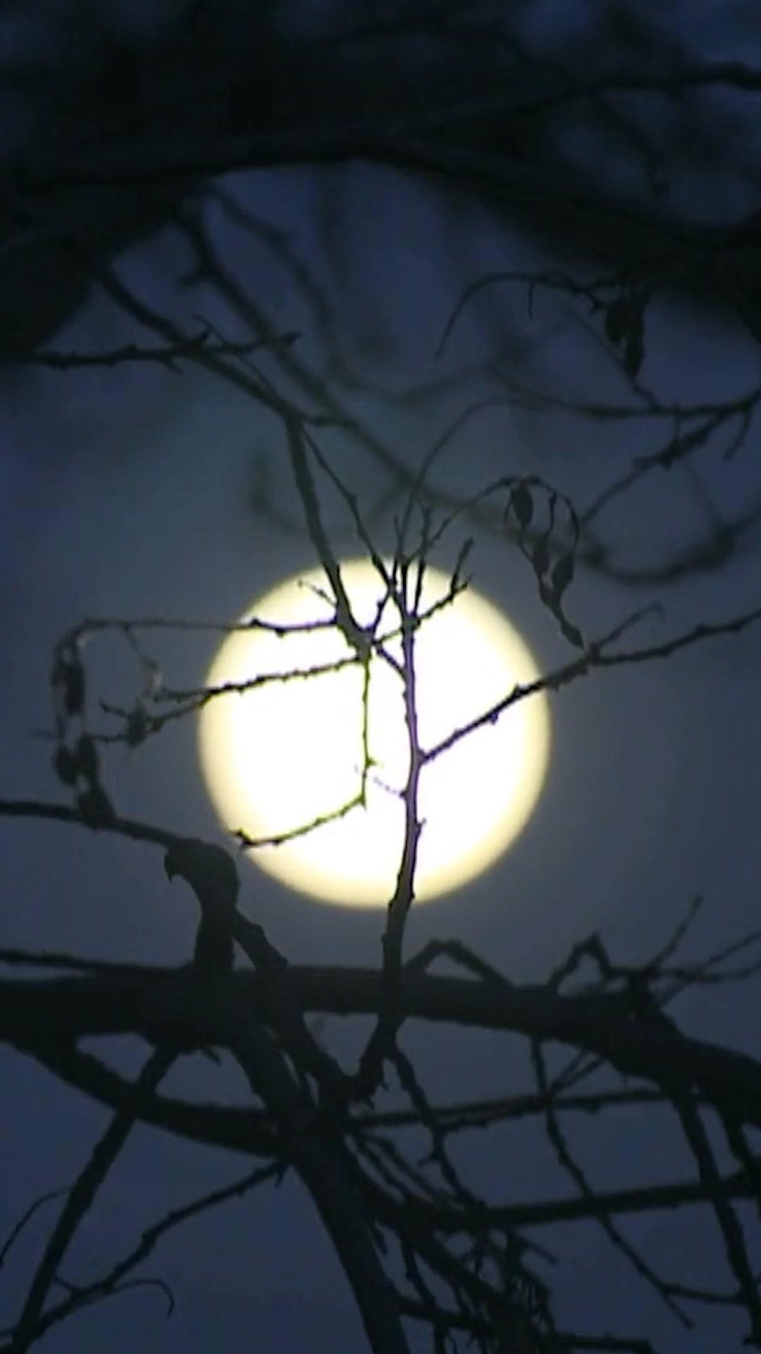 You're a Century Too Late