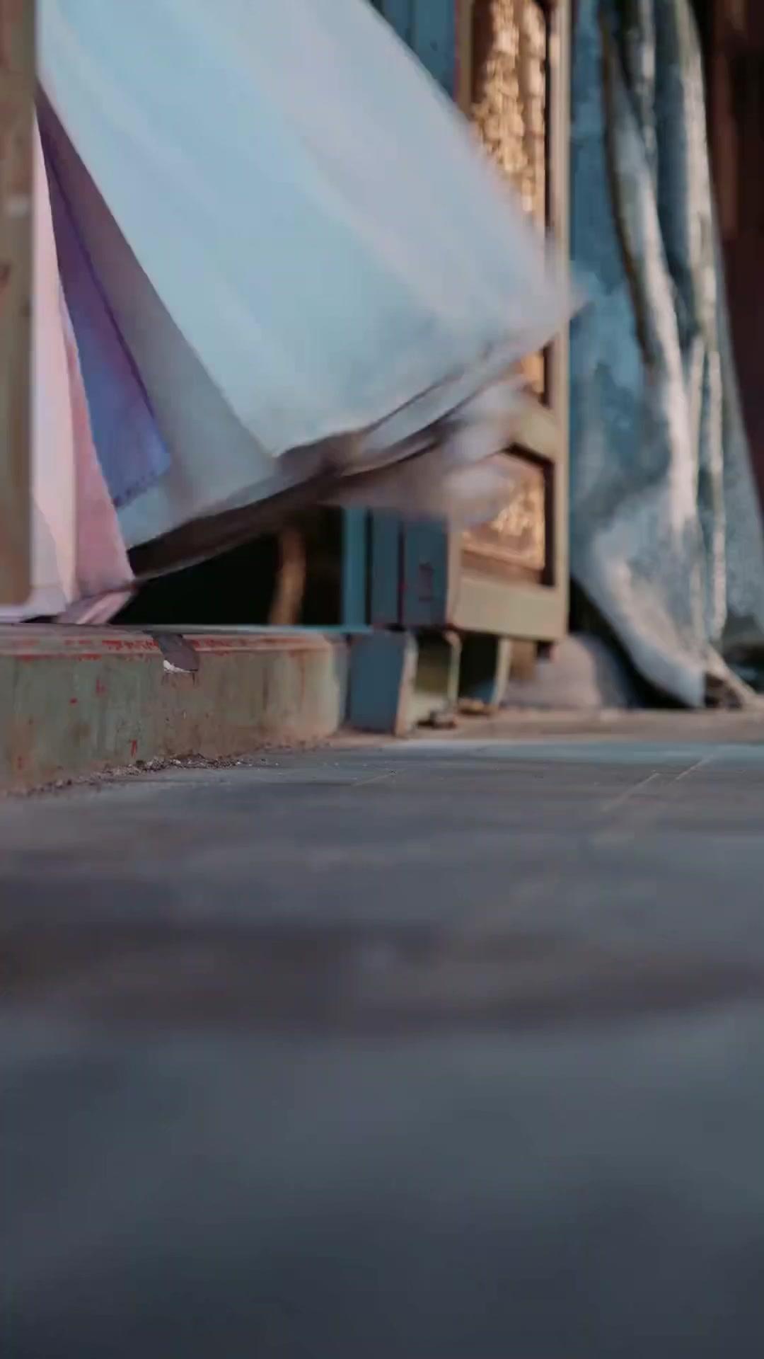 لعبة التاج والدماء