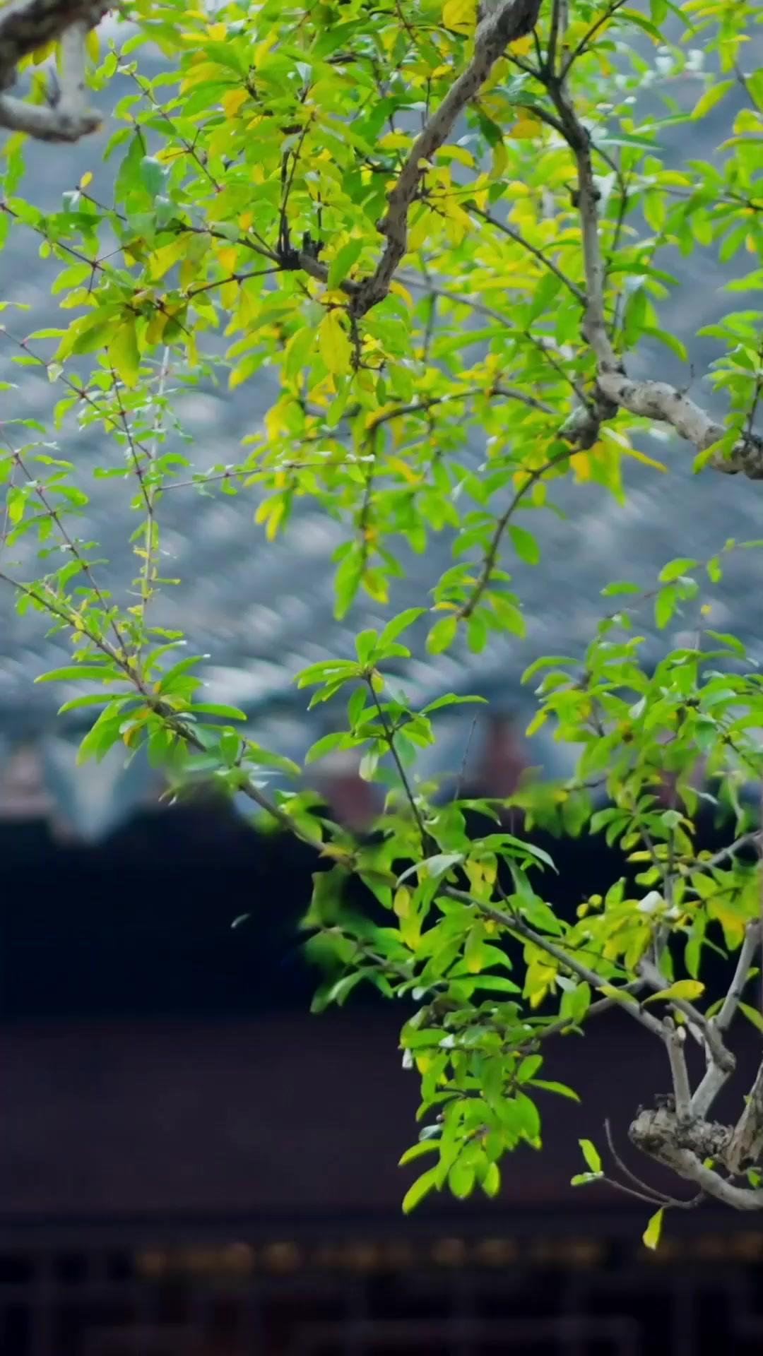 Bir Yalanın Anatomisi