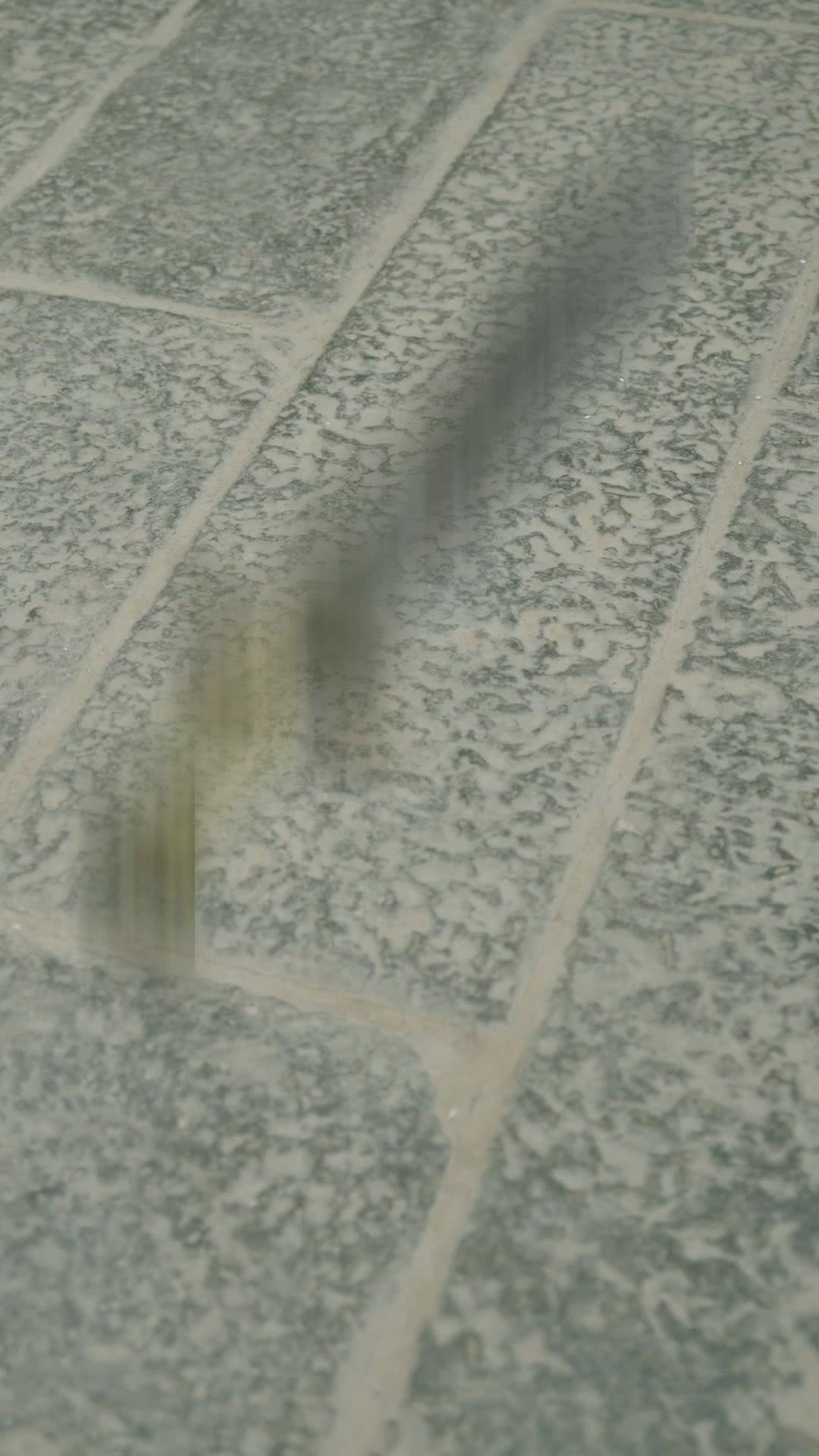 Perlindungan Sang Penjagal