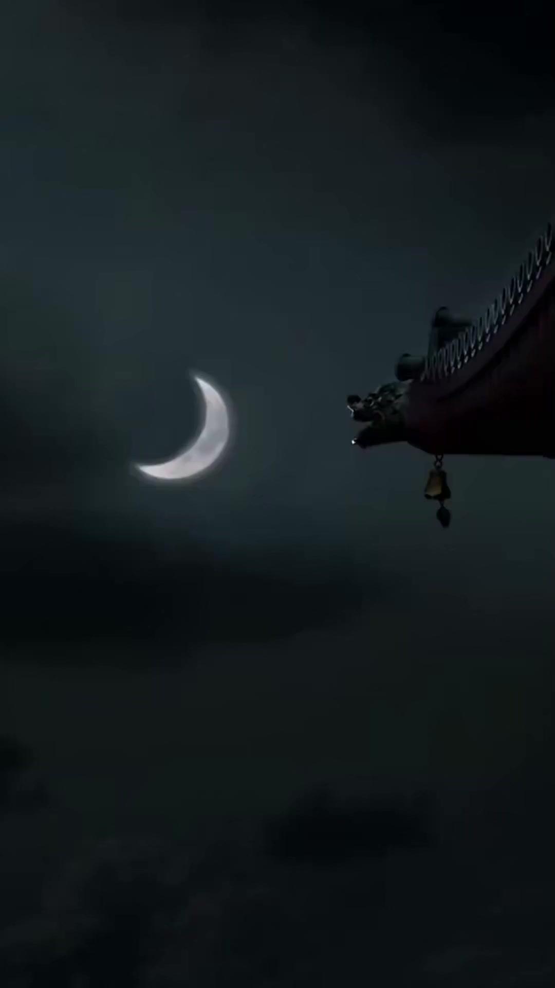 影を追う者　影にされし者