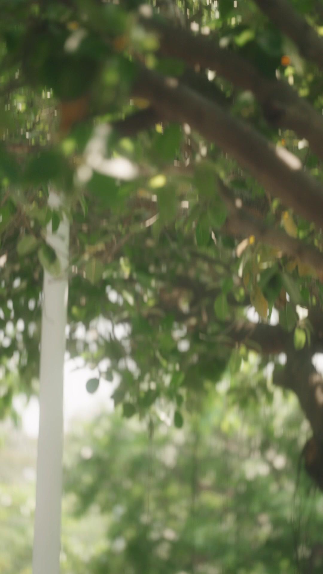 Ich bin deine Urgroßmutter!