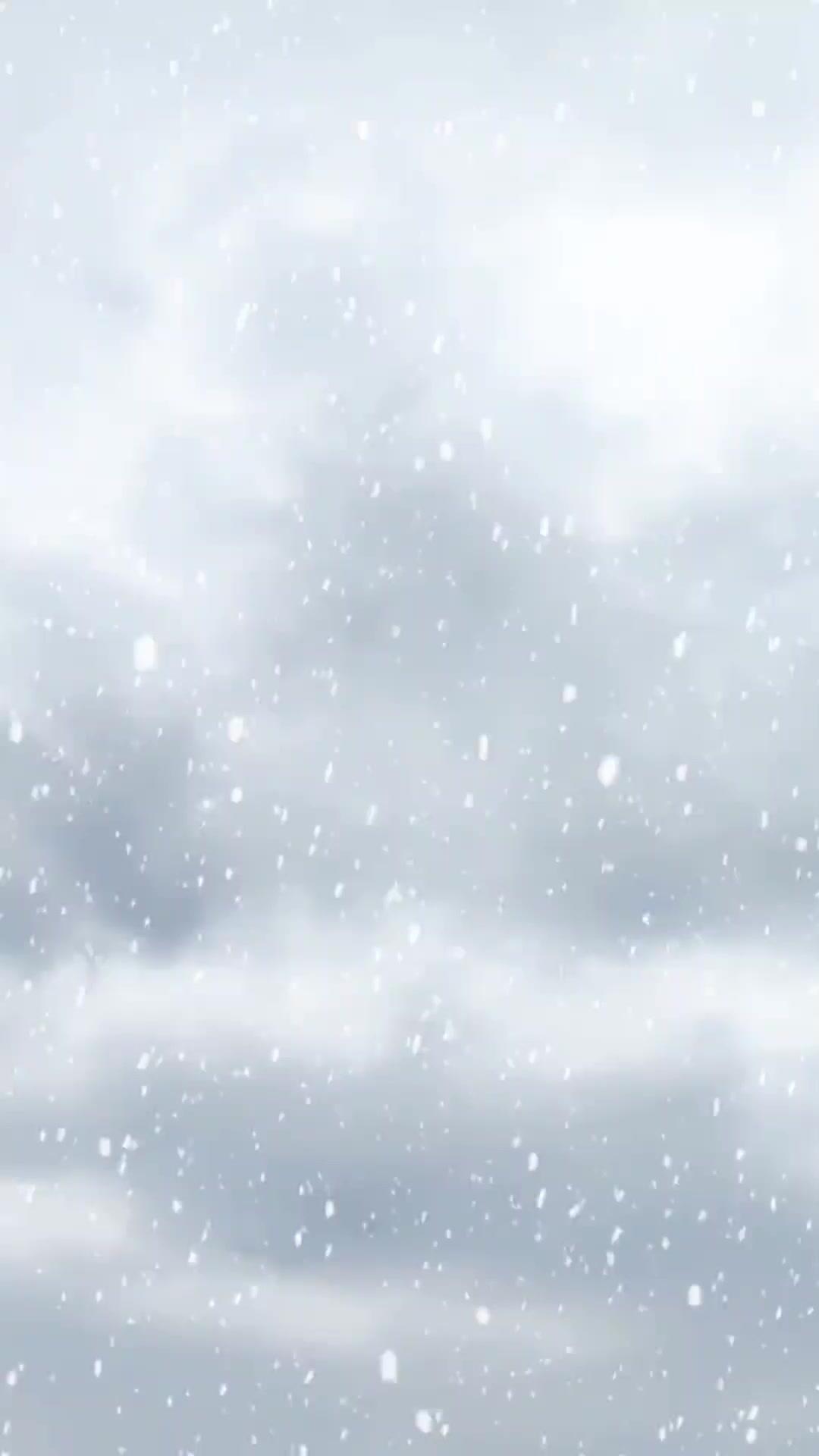 Imperador Arrependido: Sangue do Meu Sangue