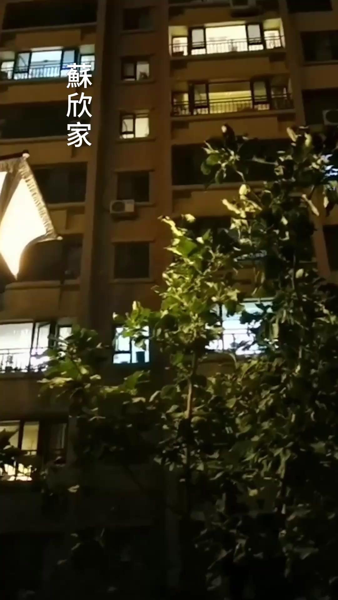 一片真心錯付君