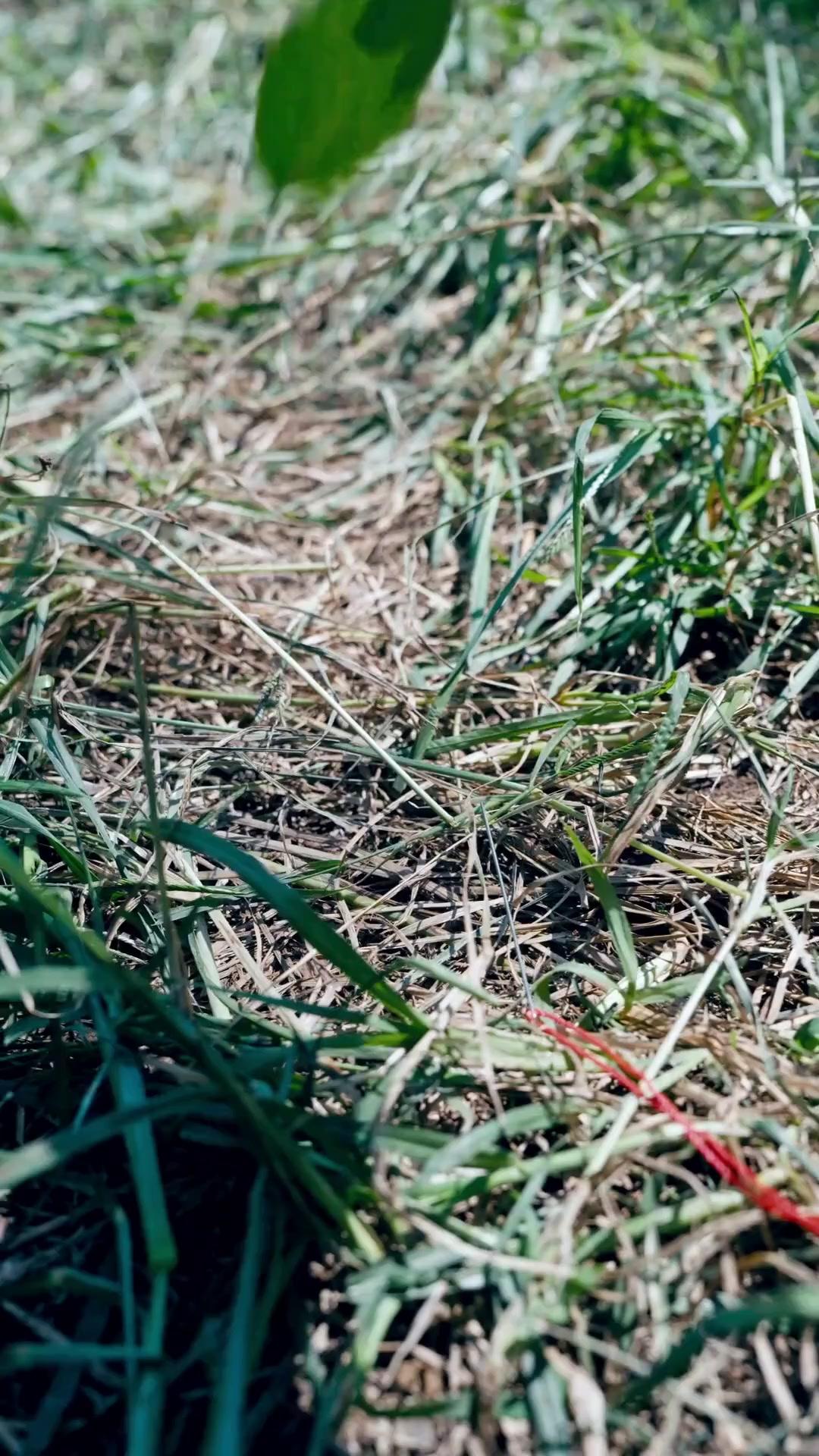 (Dubbed)Sword God: The Legendary Janitor