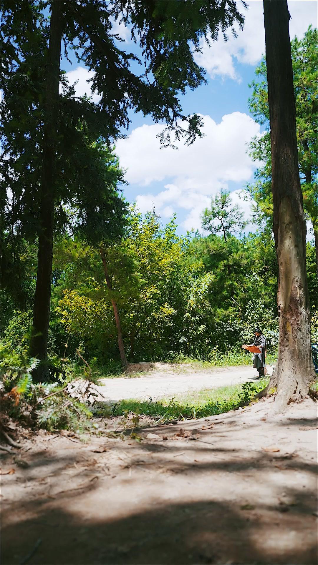 Warrior's Awakening: Fight For Love & Justice!