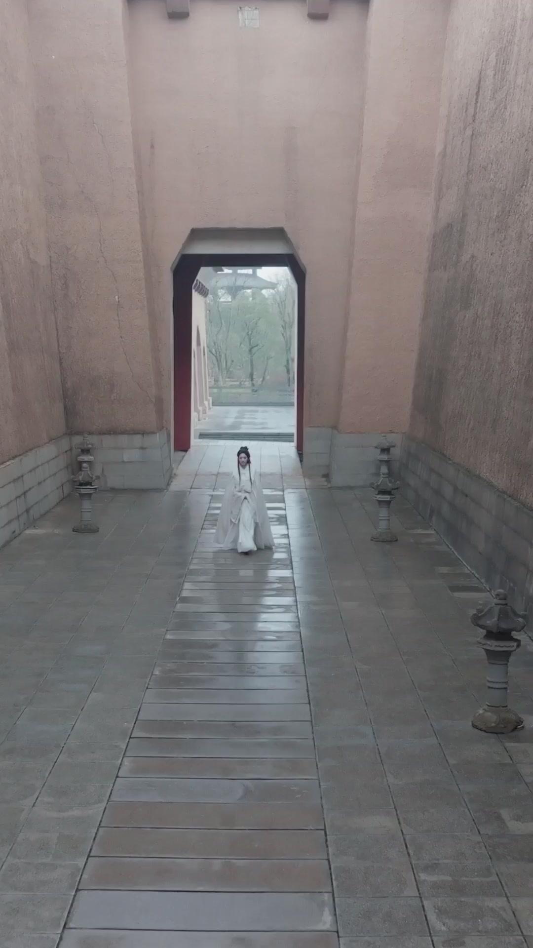 明月昭昭照念慈