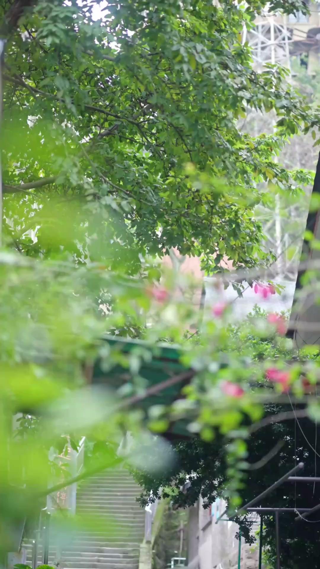 Jangan Kabur, Ayah Sangat Mencintai Ibu