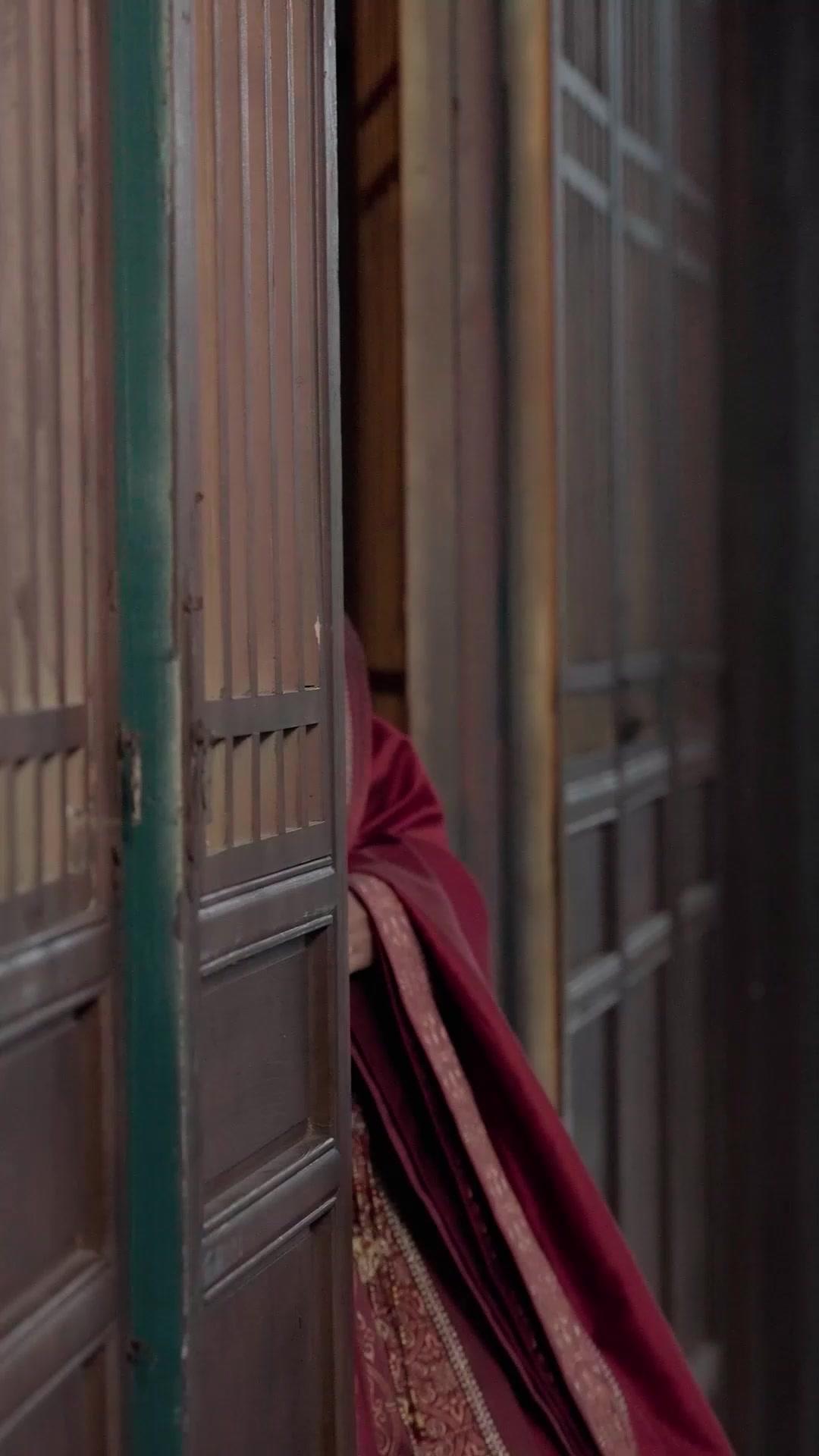 (Doppiaggio)Il Destino della Fenice