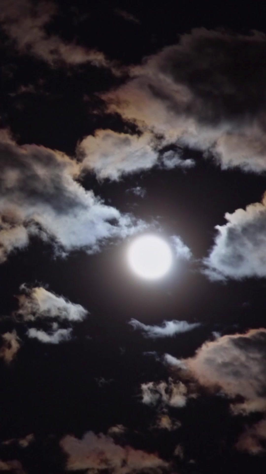 Alzo el filo del Este 