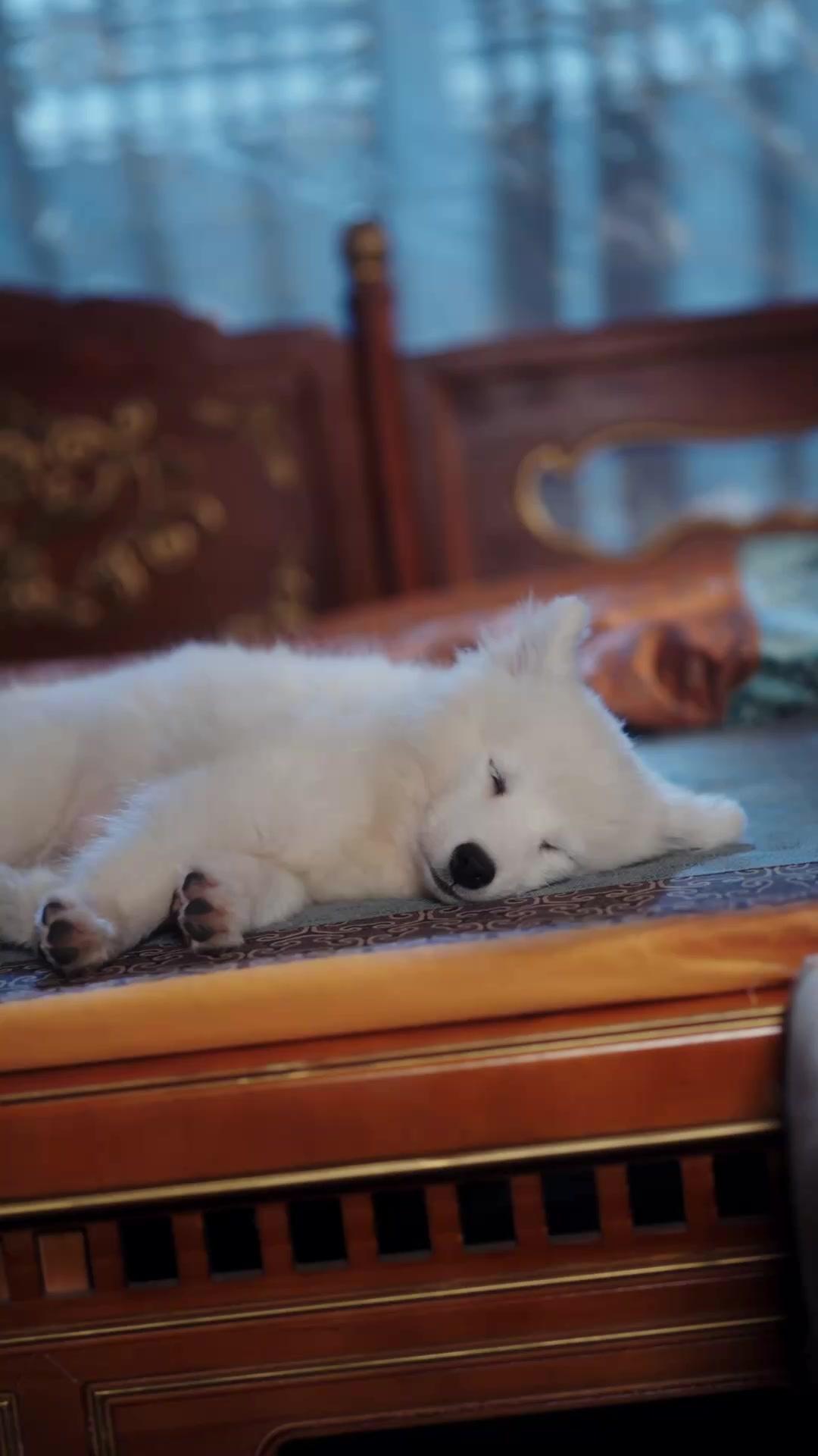 Cross Miss Hardcore? Doom Awaits!