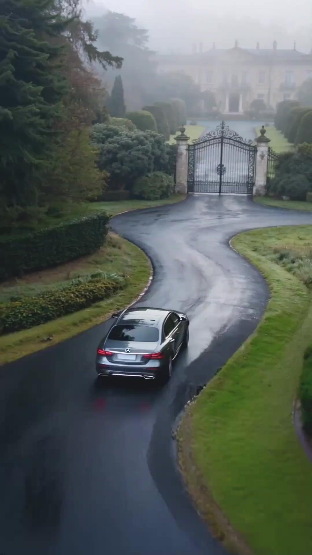 Mèo Nhỏ Của Sếp Bùi