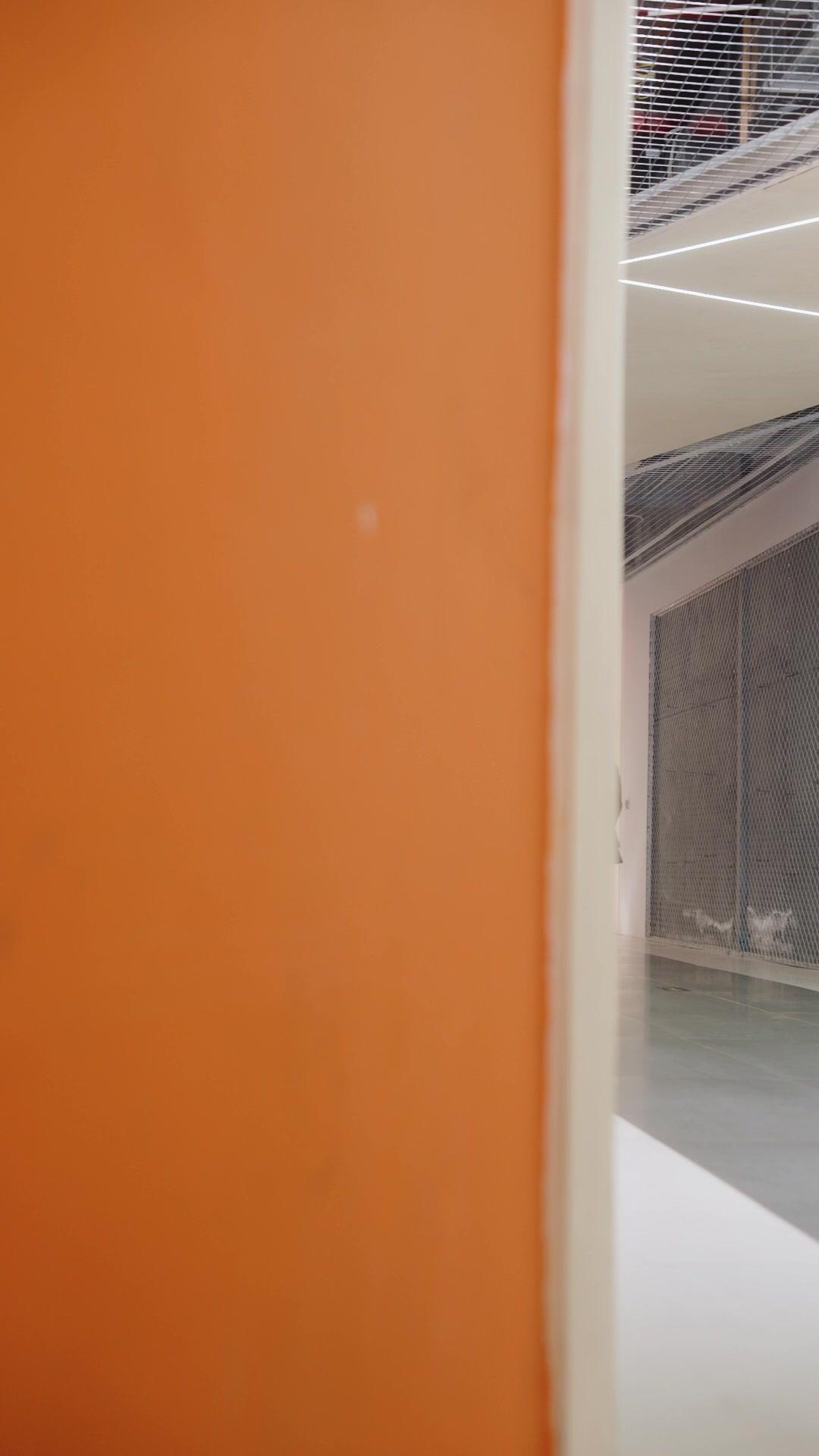 Traída, Casei com Meu Bilionário