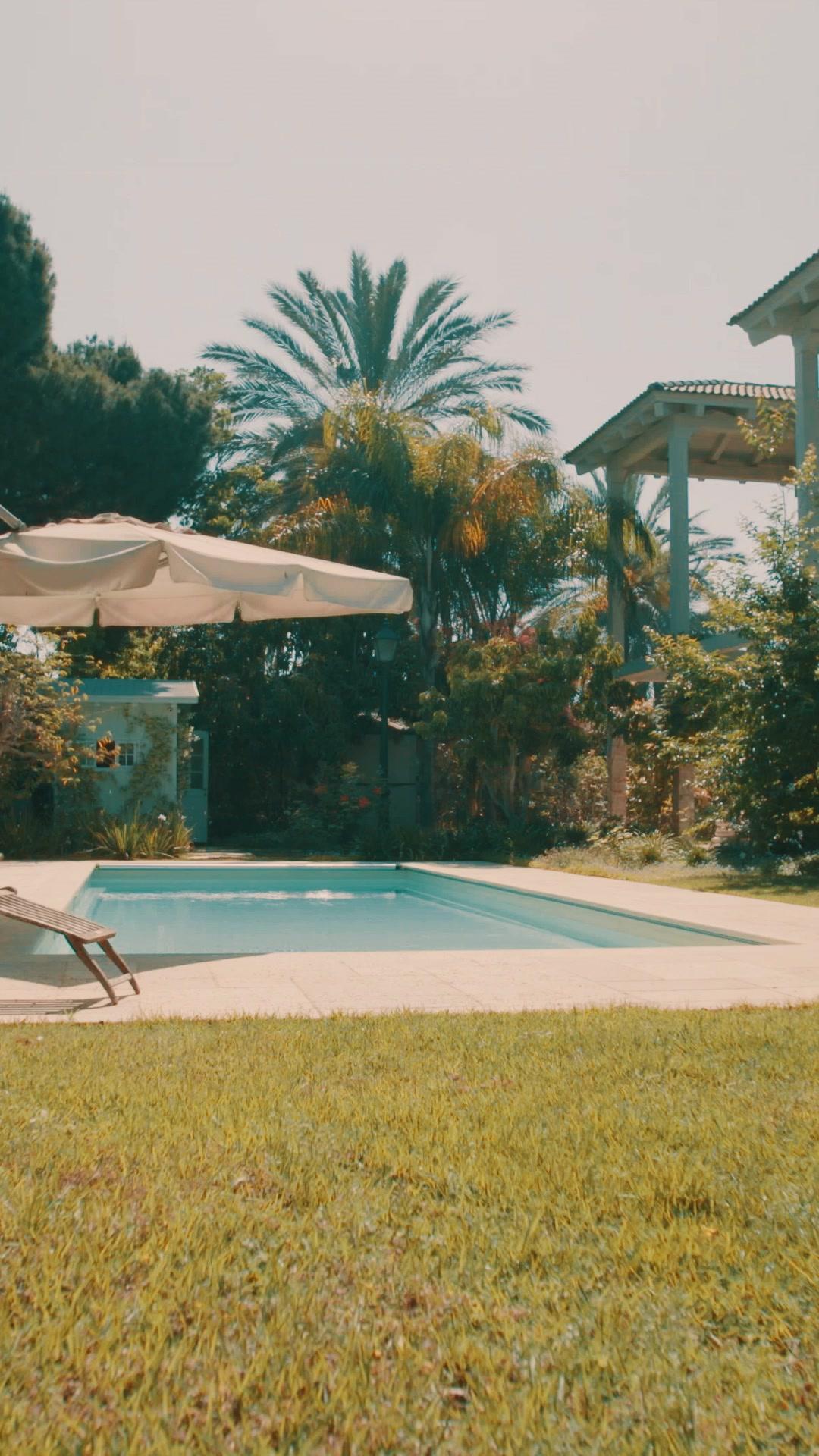 Abstinent CEO's Pregnant Sweetheart