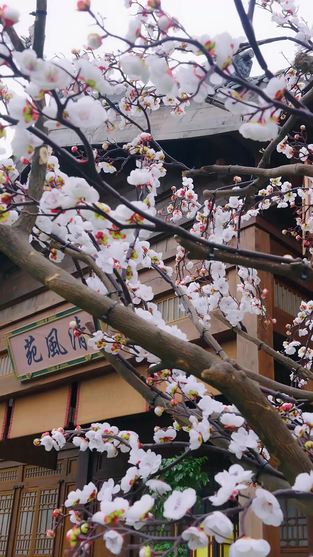 皇太子妃の座は私がいただく