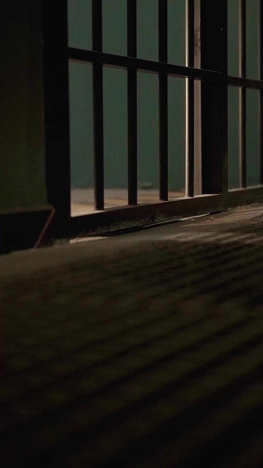 Die Rückkehr der Elster