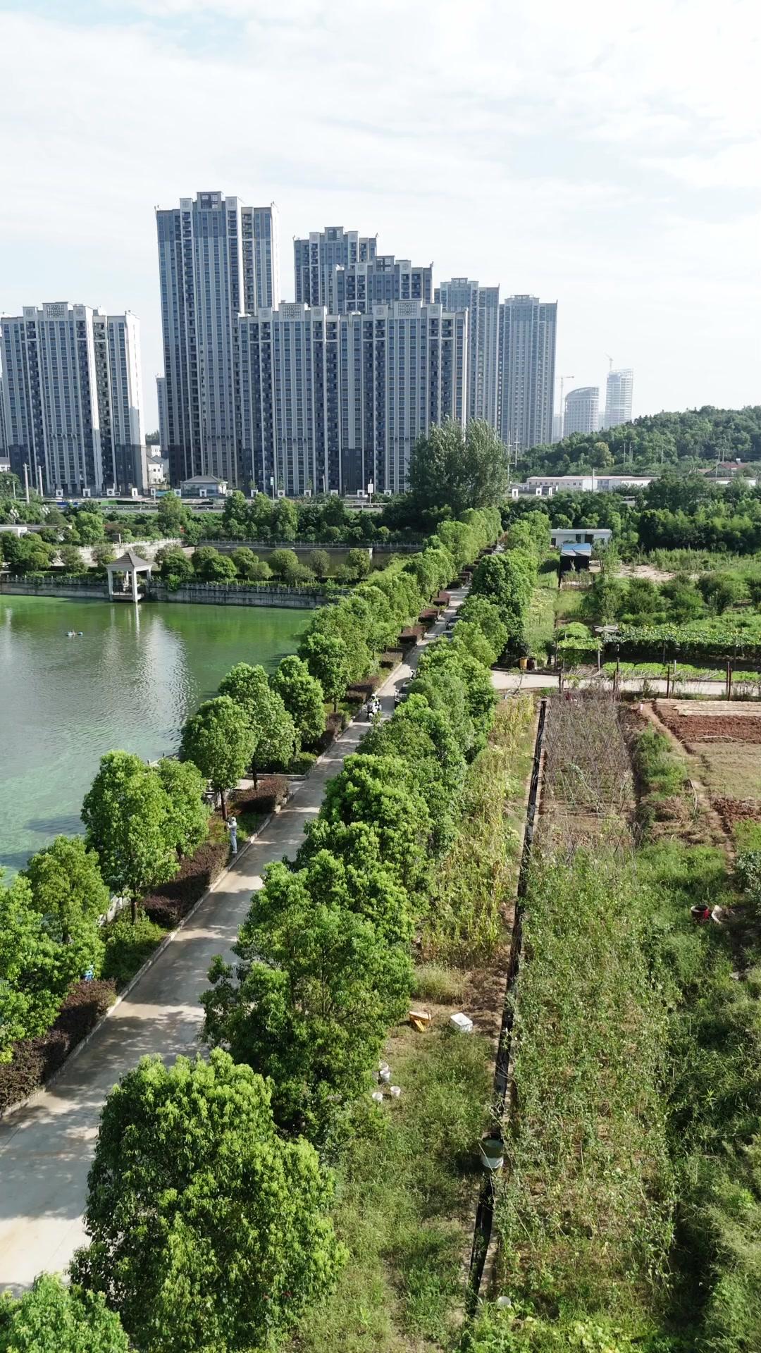 MARIAGE ÉCLAIR AMOUR INFINI