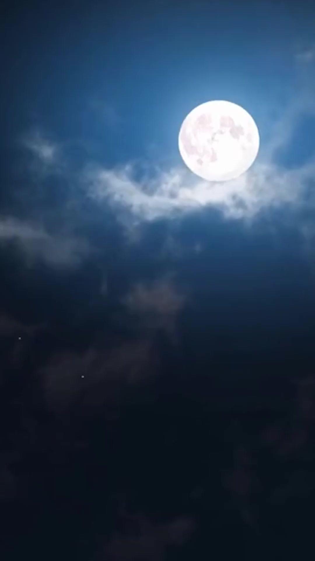 Reborn as a Princess… to Kill