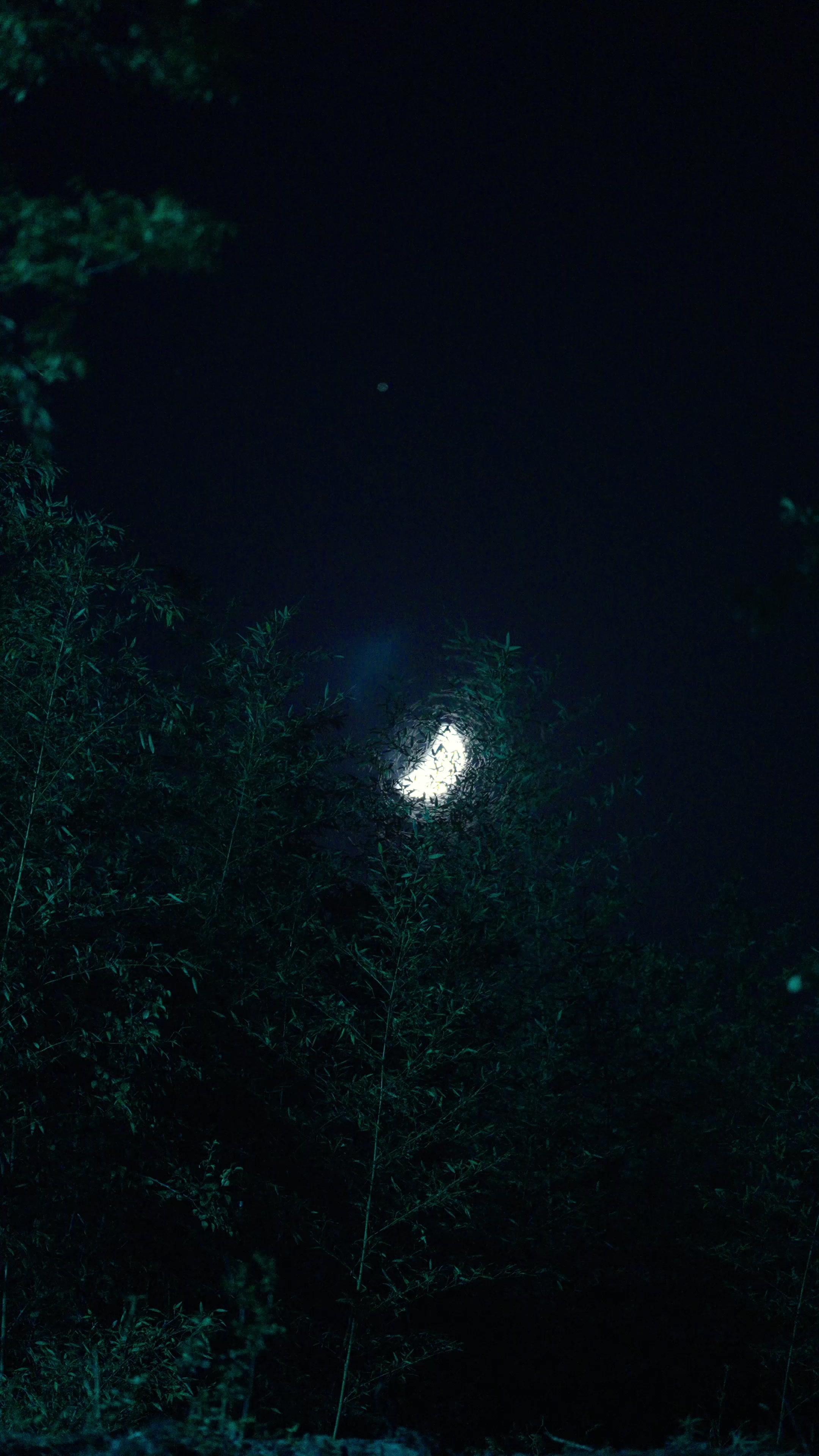 흉년에 장사를 시작했다